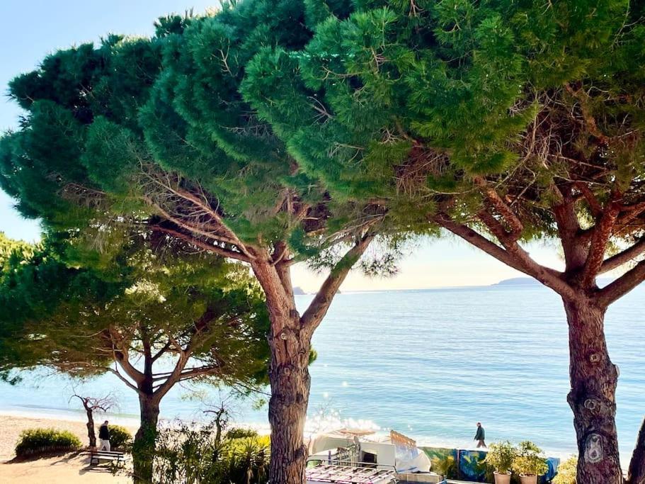 Appartement Les Pieds Dans L'Eau A Cavaliere Le Lavandou Exteriör bild