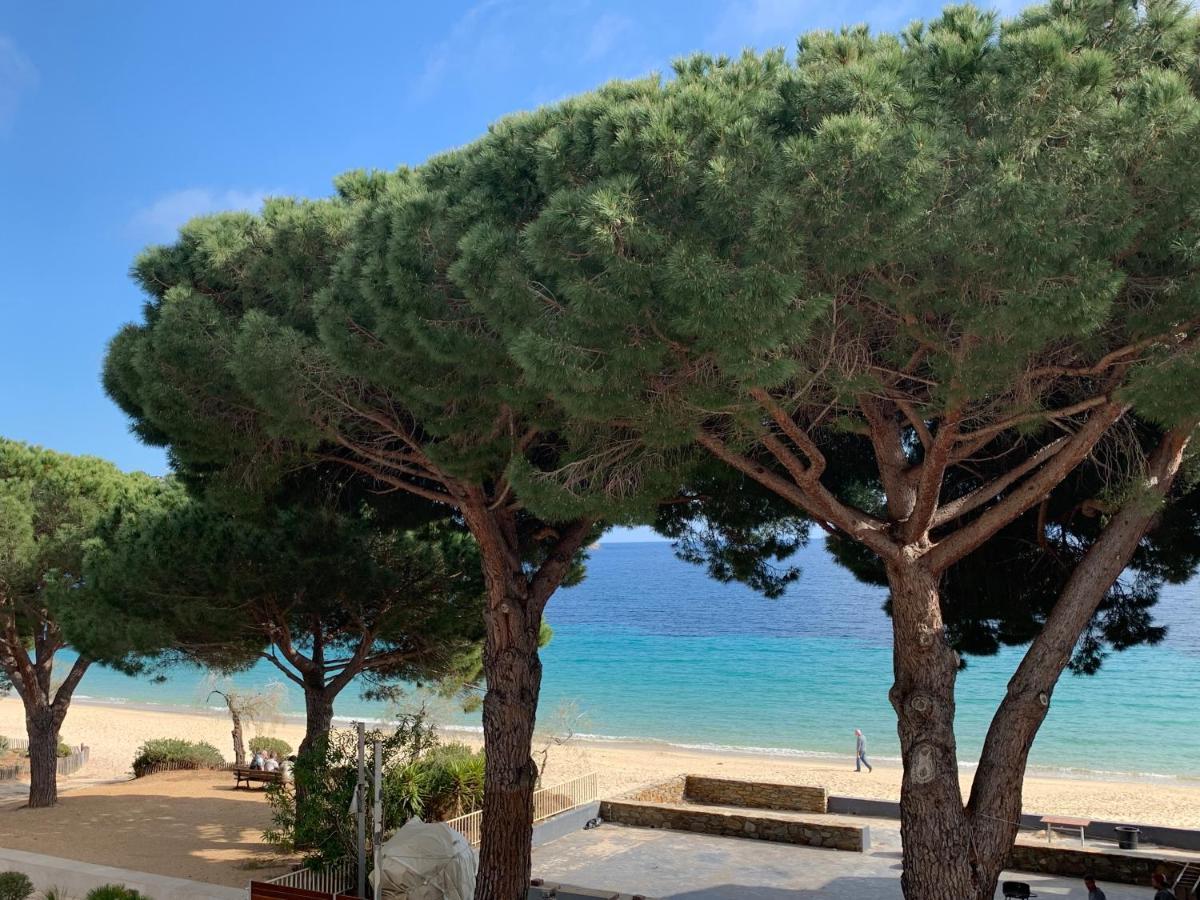 Appartement Les Pieds Dans L'Eau A Cavaliere Le Lavandou Exteriör bild